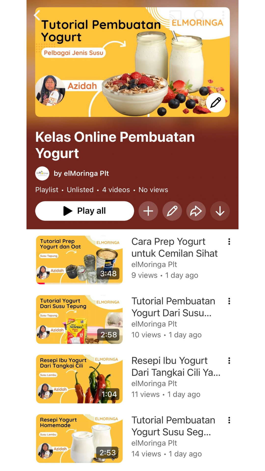 Yogurt pekat homemade