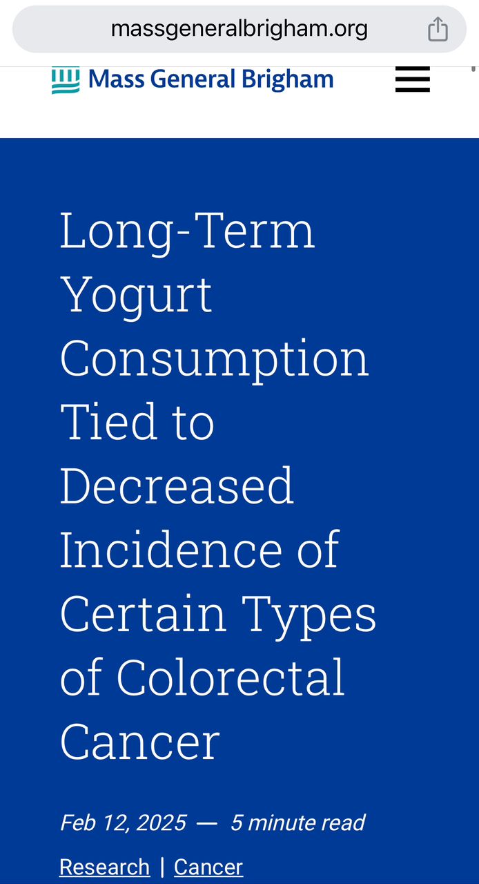 Yogurt pekat homemade